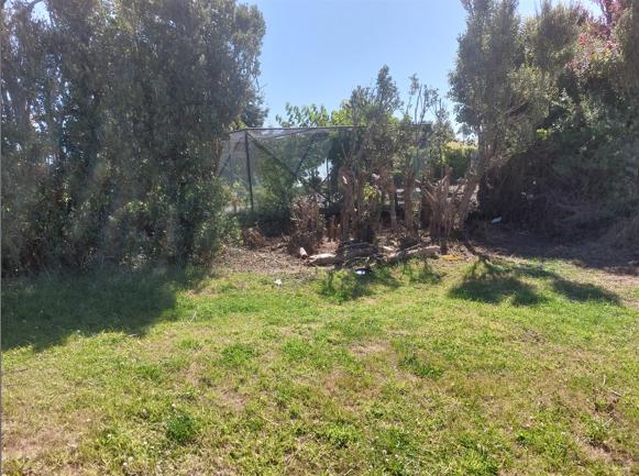 8 13 Beach Street, Waikouaiti top right section of the property with the stumps of old cut down trees that need to be tidied up JDBuilders