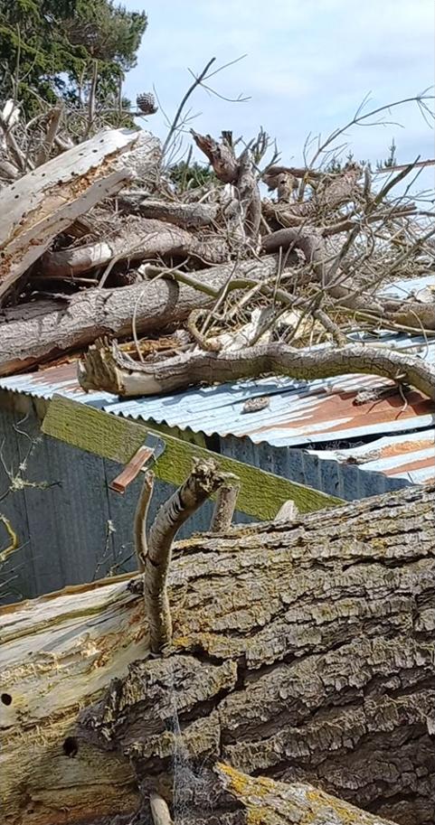 1 2866 Herbert Hampden Road, Waitaki Close up of fallen trees on shearing shed due to storm damage JDBuilders