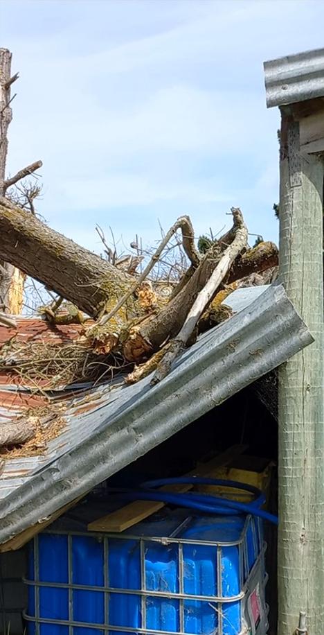 2 2866 Herbert Hampden Road, Waitaki Fallen trees on shearing shed continued due to storm damage JDBuilders