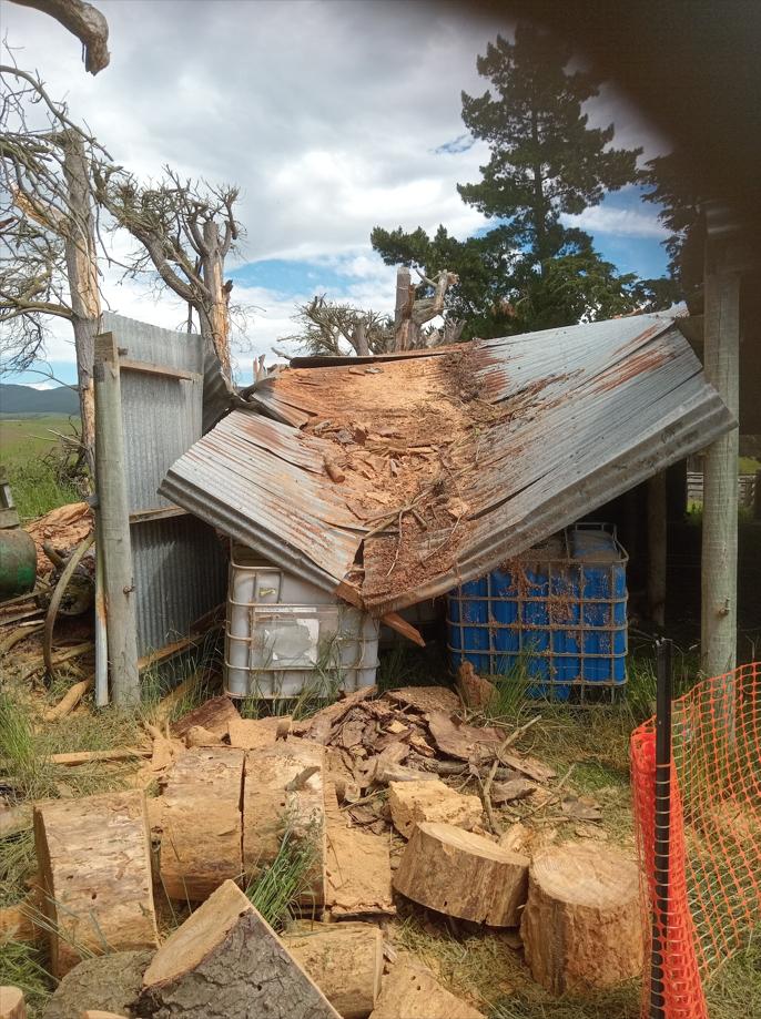 6 2866 Herbert Hampden Road, Waitaki Clearing off fallen timber from the shearing shed roof due to storm damage JDBuilders